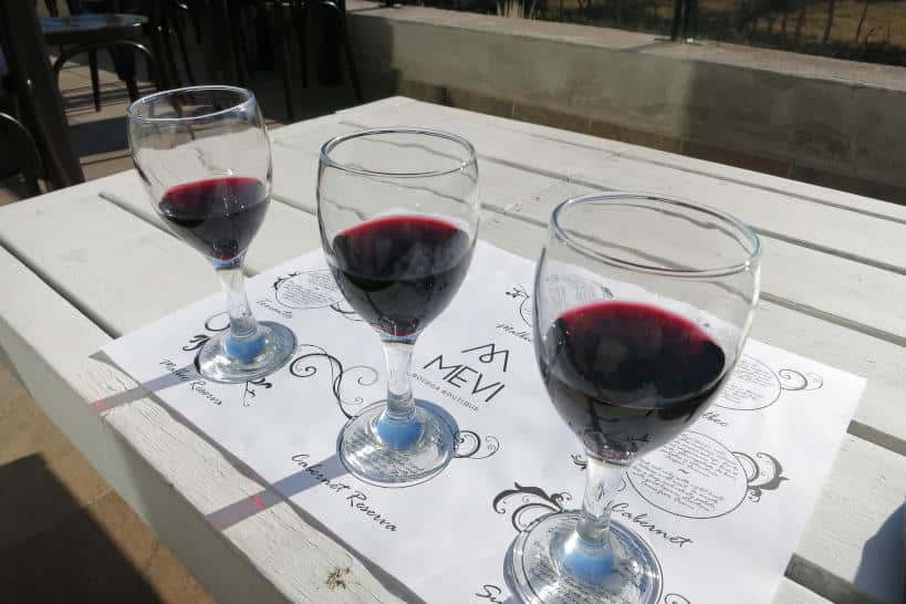 Wine Glasses Wine Regions Mendoza by Authentic Food Quest