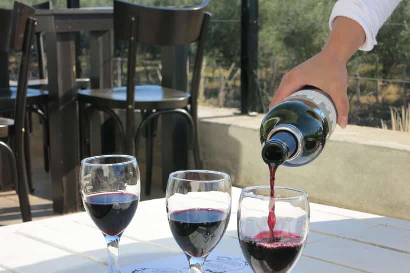 Wine Pouring Mendoza Wineriesby Authentic Food Quest