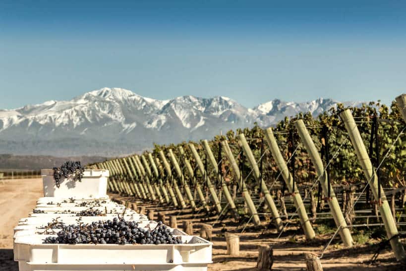 Winery Tour Mendoza Wine Region by Authentic Food Quest