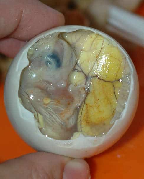 Balut Filipino Dishes Authentic Food Quest