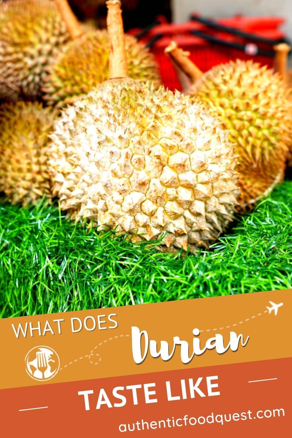 What Does Durian Taste Like How To Appreciate It Despite Its Smell