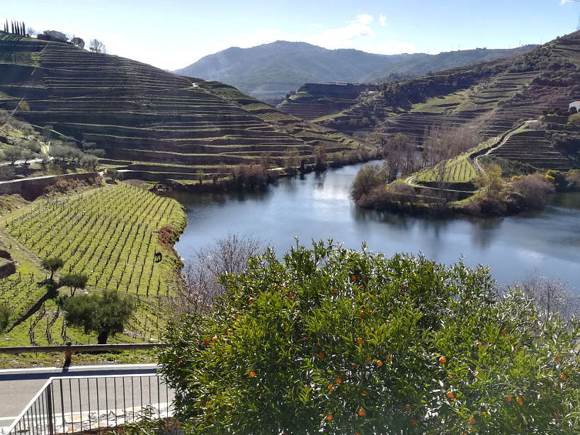 Quinta do Tedo Douro Valley Wines by Authentic Food Quest