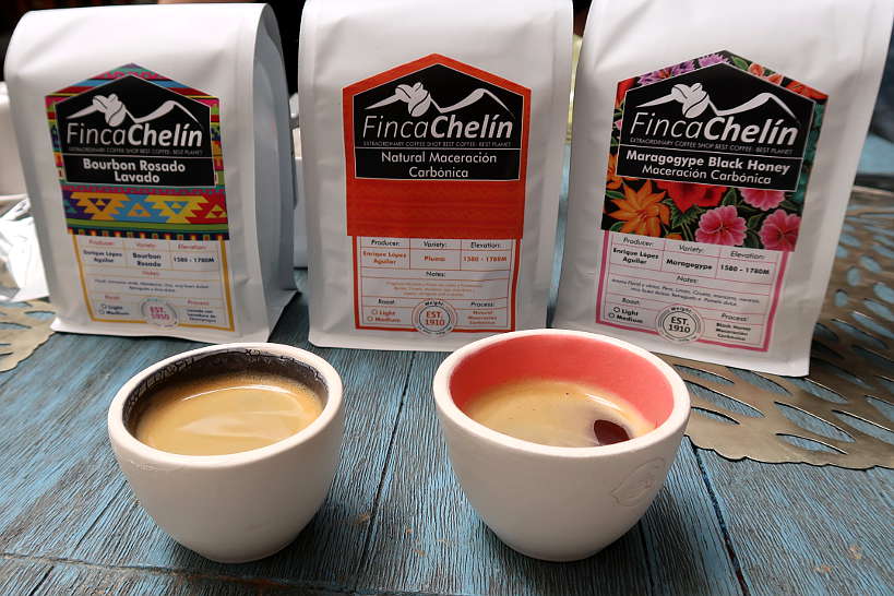 Finca Chelin Coffee for Oaxaca Coffee Mexico by Authentic Food Quest