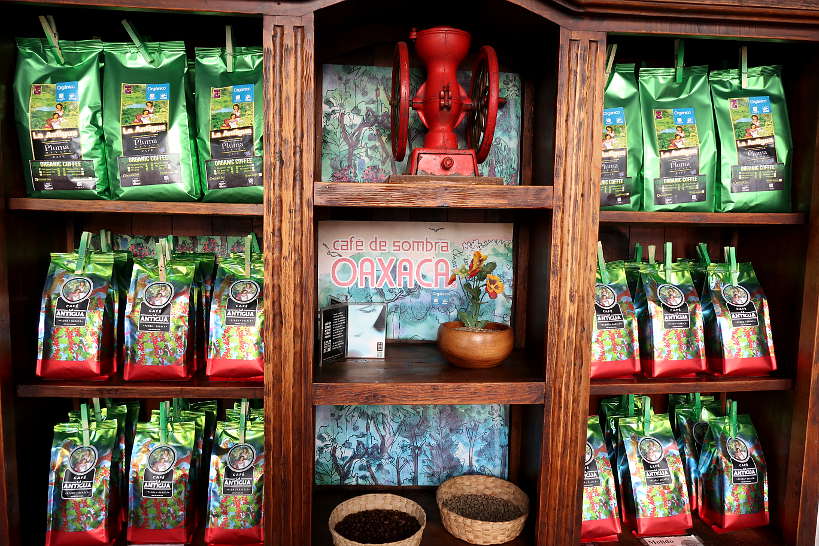 One of The Best Mexican Coffees - Finca Chelin Oaxaca Coffee Maker 4
