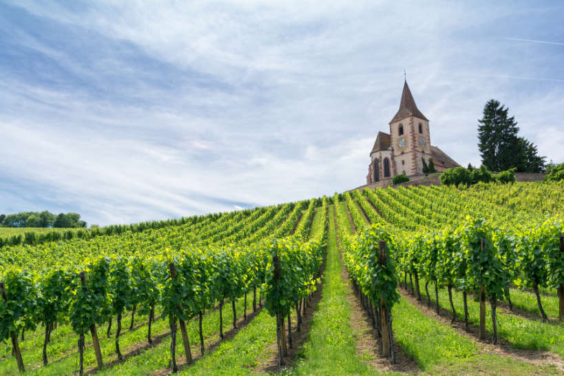 French Vineyard Visit Cookings Vacations France by Authentic Food Quest