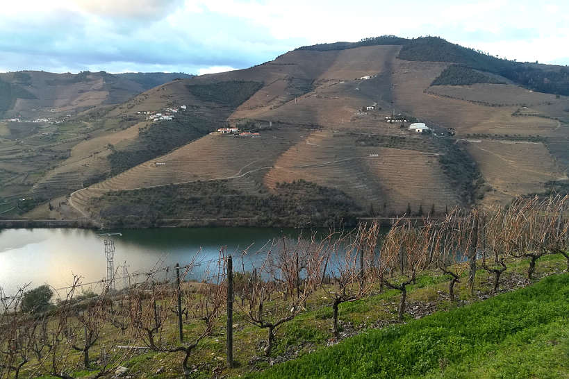 Douro Valley Vineyards by Authentic Food Quest