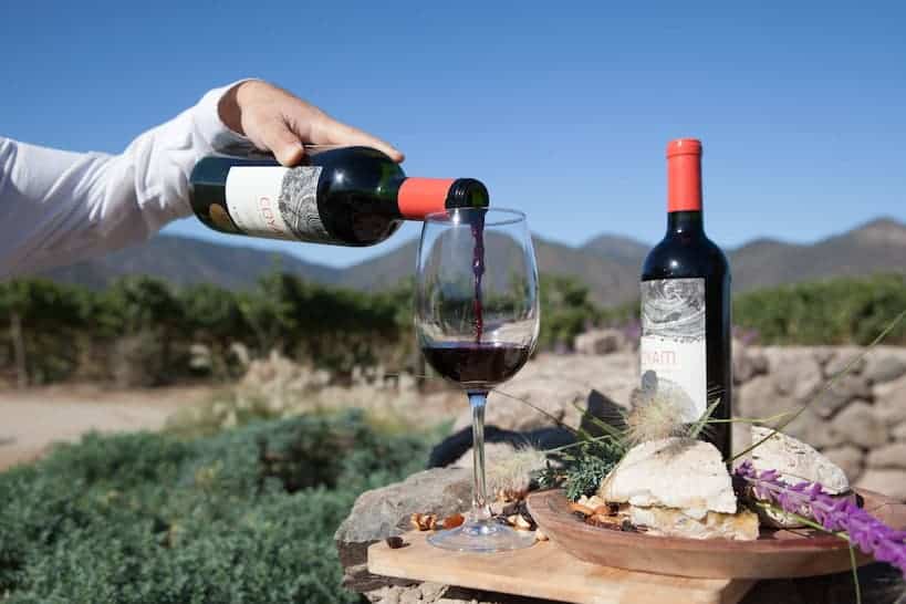 Emiliana Organic Vineyards Wine Tours in Santiago Chile by Authentic Food Quest