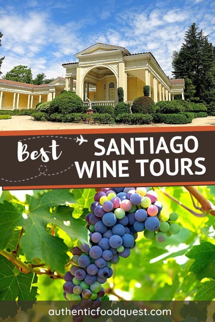 Pinterest Wine Tours In Santiago Chile by Authentic Food Quest