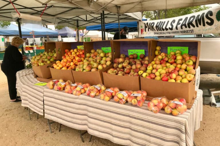 The 15 Best Farmers Markets In Los Angeles With Daily Schedule