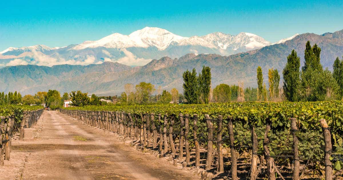 Wine Regions in Argentina & Chile: Which is Best For You?