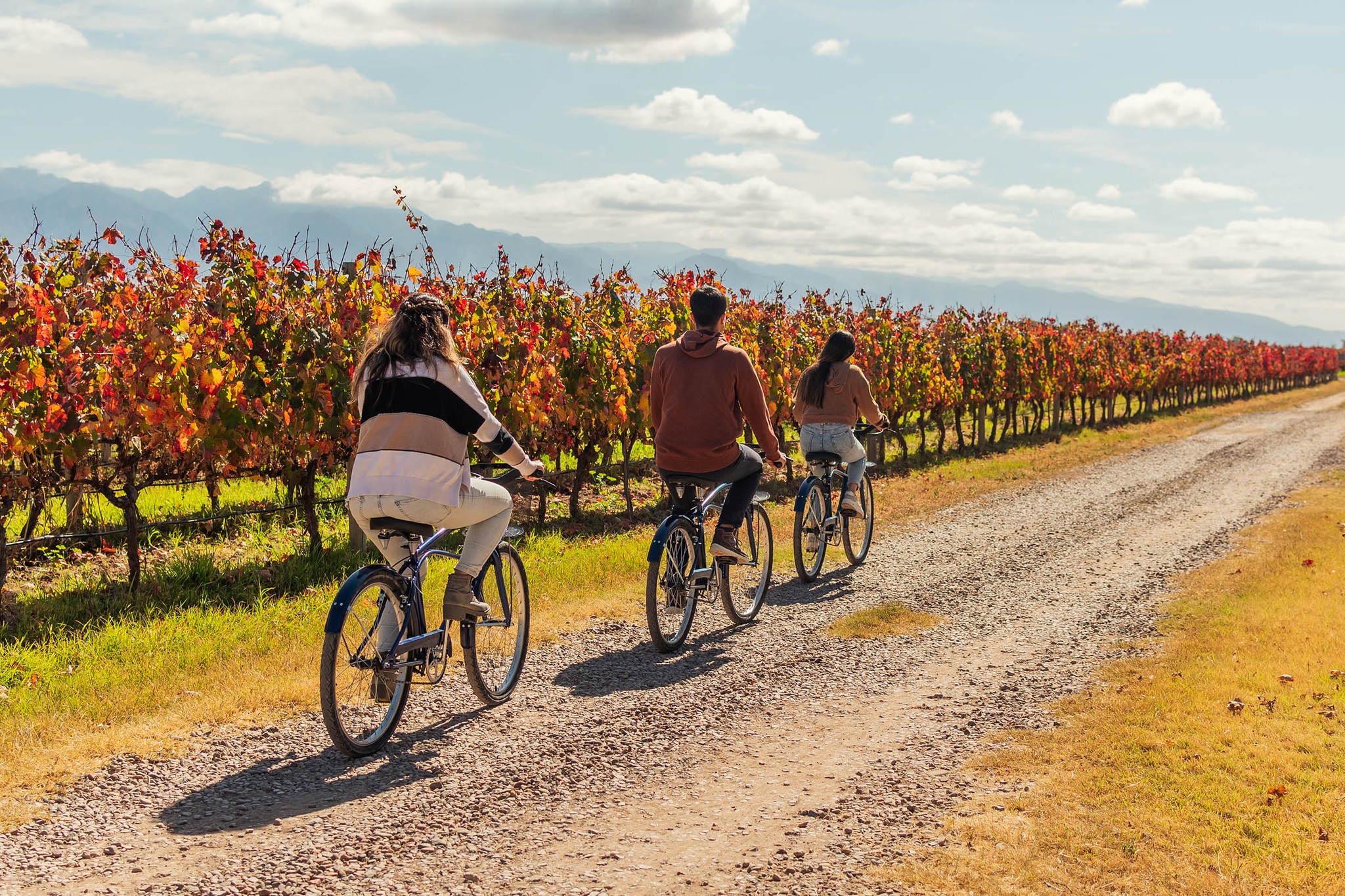 Guide To Mendoza Wine Regions: 12 Of The Best Wineries To Visit