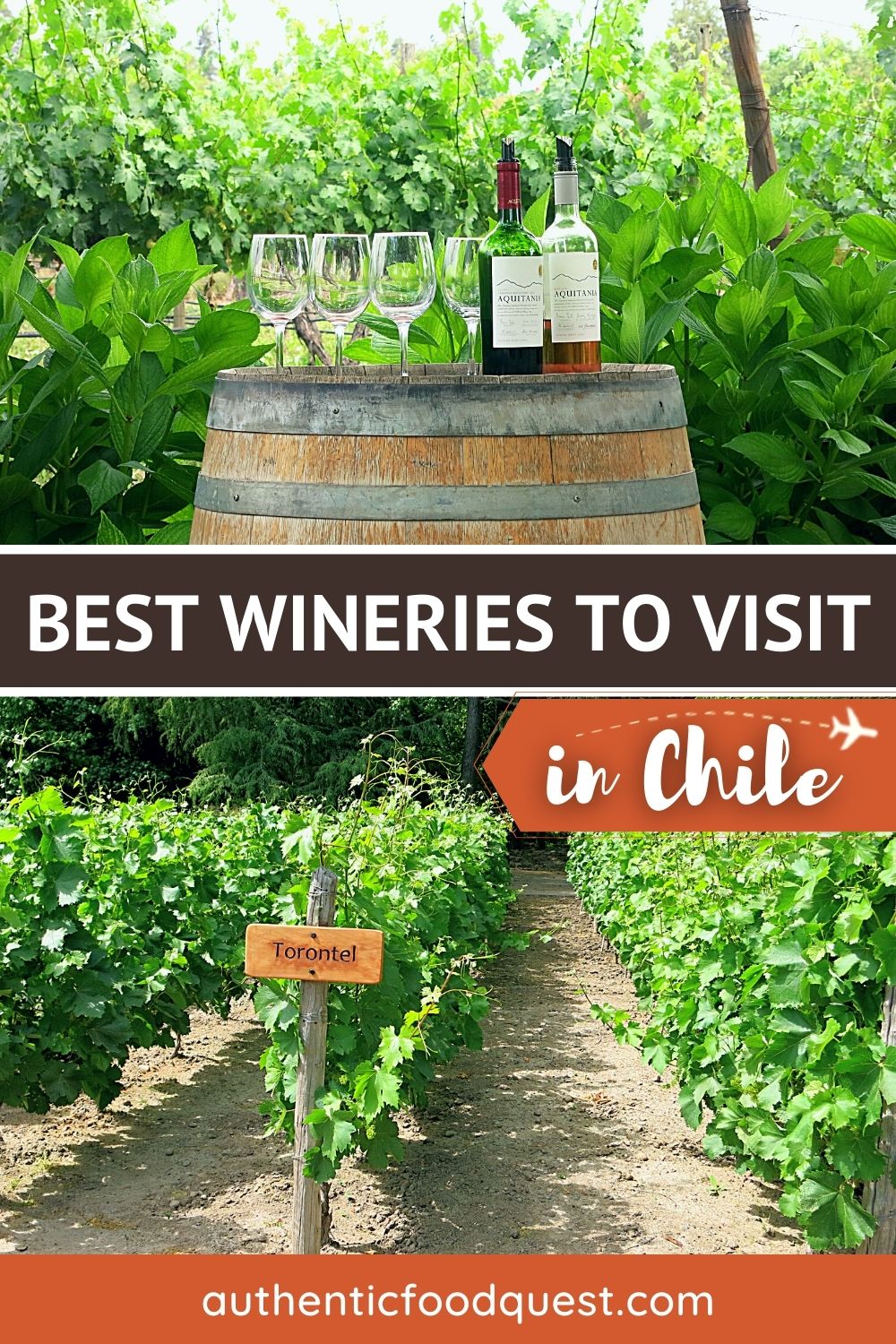 Chilean Wine Regions: 15 Top Wineries You’ll Want To Visit