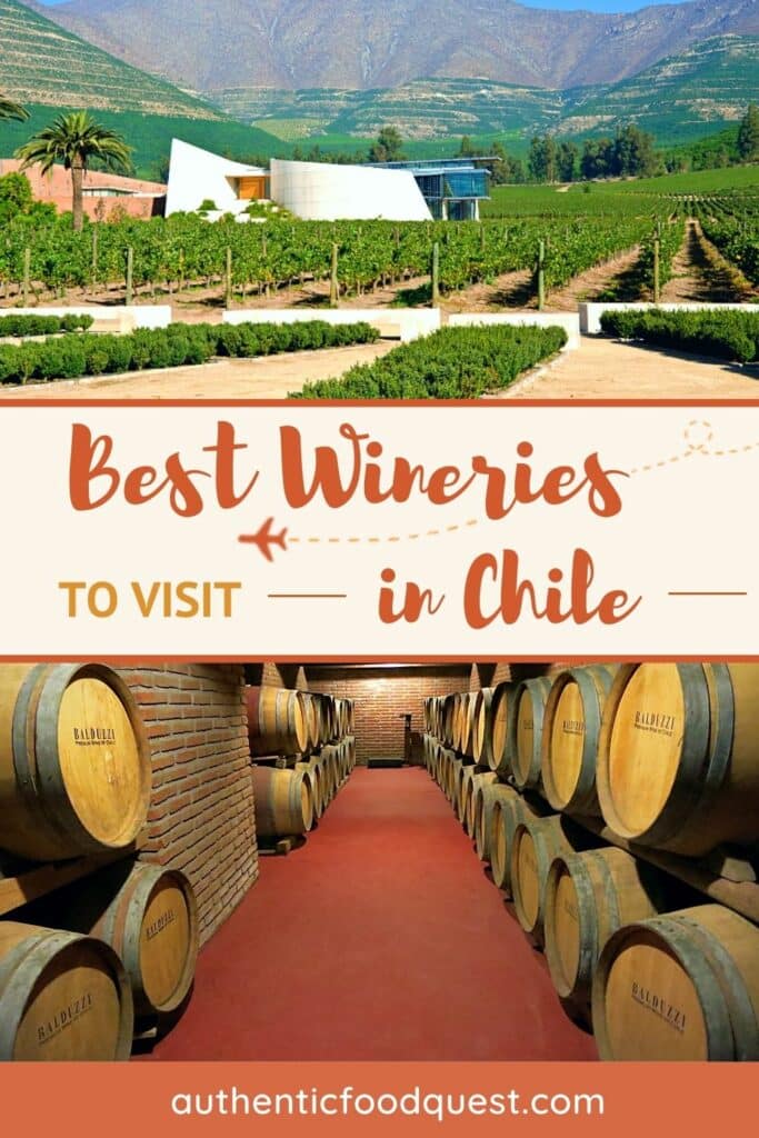 Pinterest Chile Wine Regions by Authentic Food Quest
