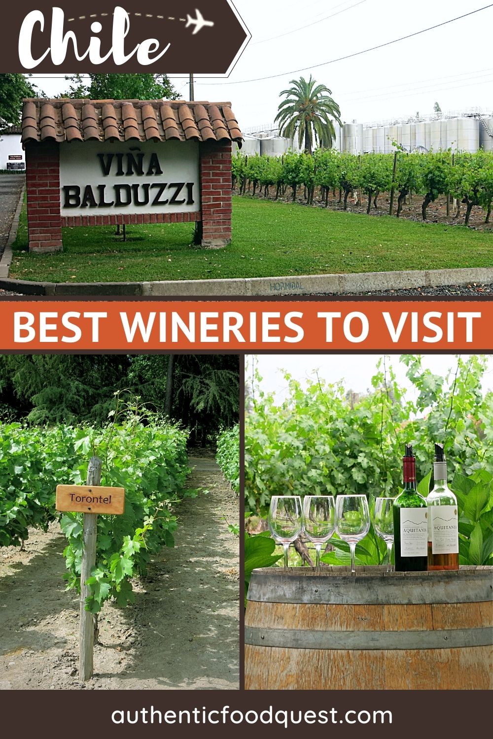 Chilean Wine Regions: 15 Top Wineries You’ll Want To Visit