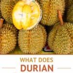Pinterest Durian Fruit Taste by Authentic Food Quest