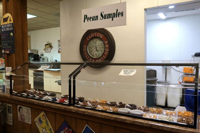 Pecan Trail Florence SC How To Make The Most Of Your Visit