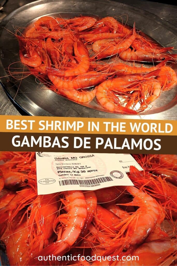 Gambas De Palamos: A Fascinating Day In The Life Of A Fisherman