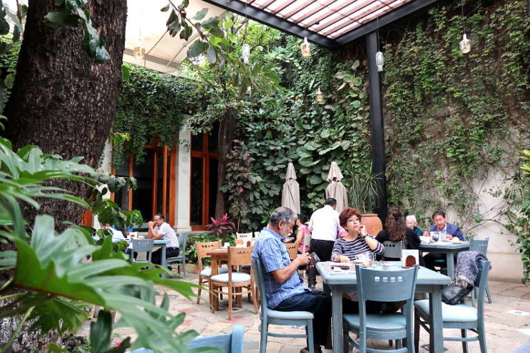 One Of The Best Mexican Coffees Finca Chelin Oaxaca Coffee Maker