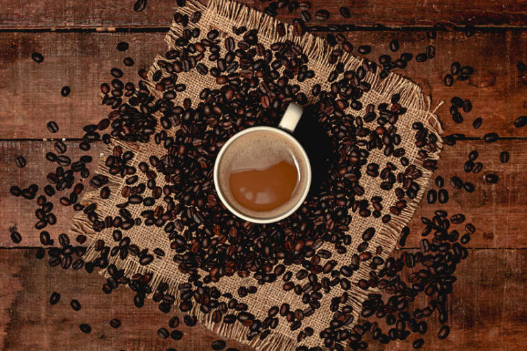 One Of The Best Mexican Coffees Finca Chelin Oaxaca Coffee Maker