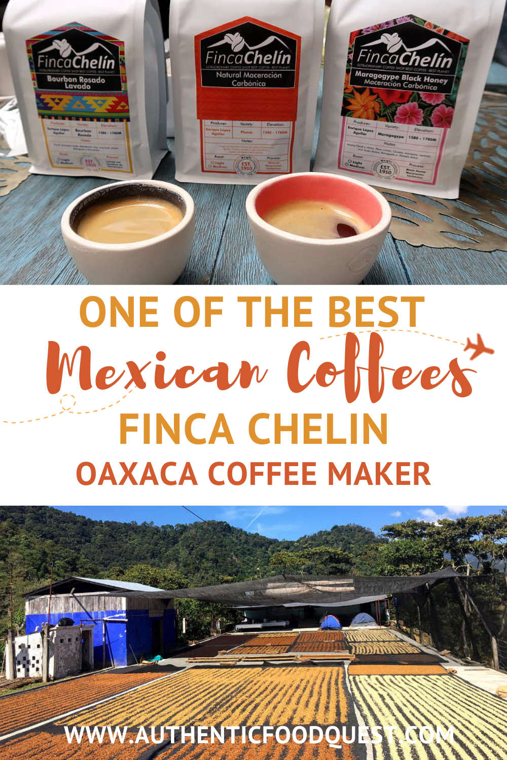 One Of The Best Mexican Coffees Finca Chelin Oaxaca Coffee Maker