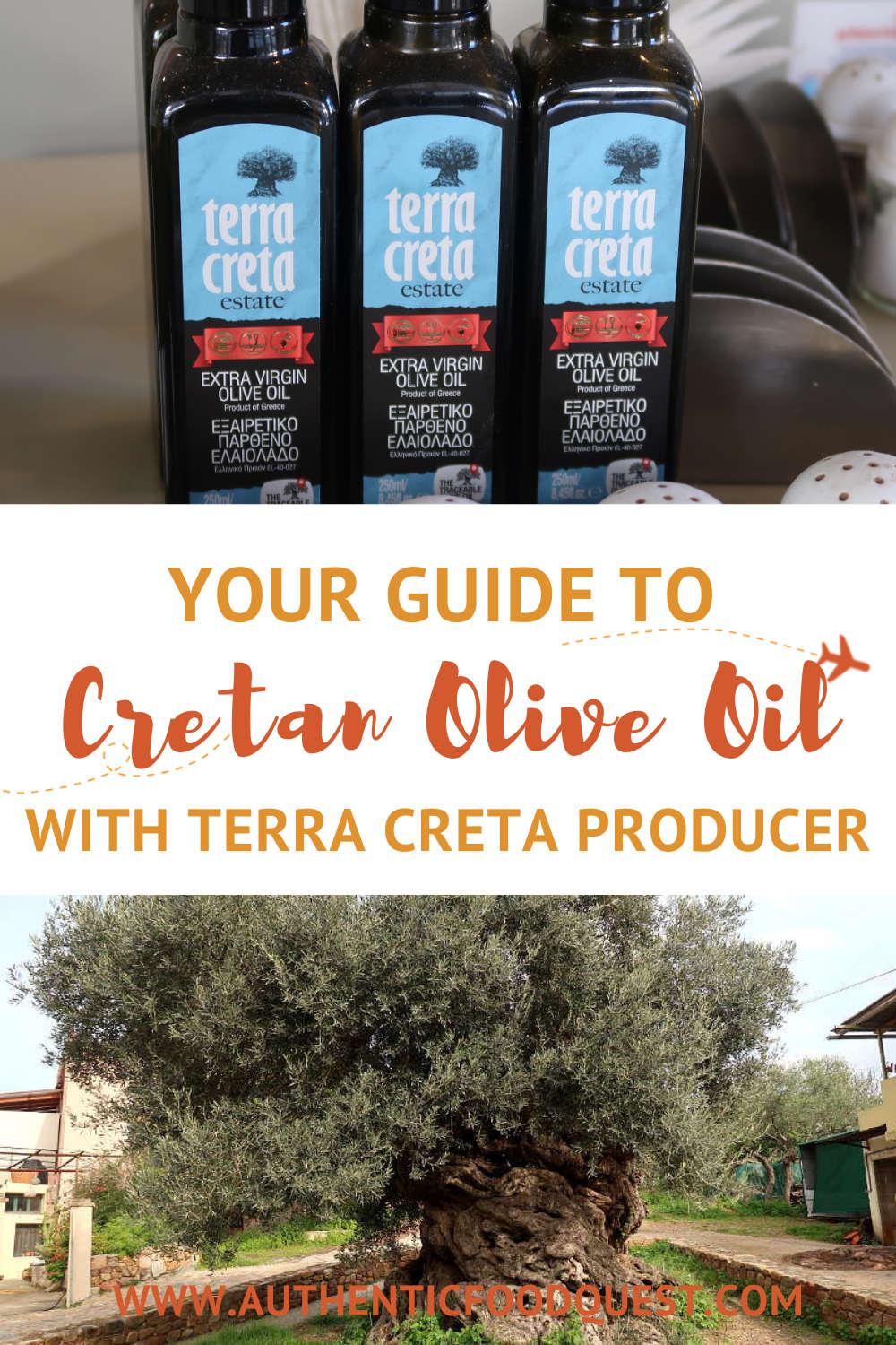 How To Choose Cretan Olive Oil With Tips From Top Producer Terra Creta