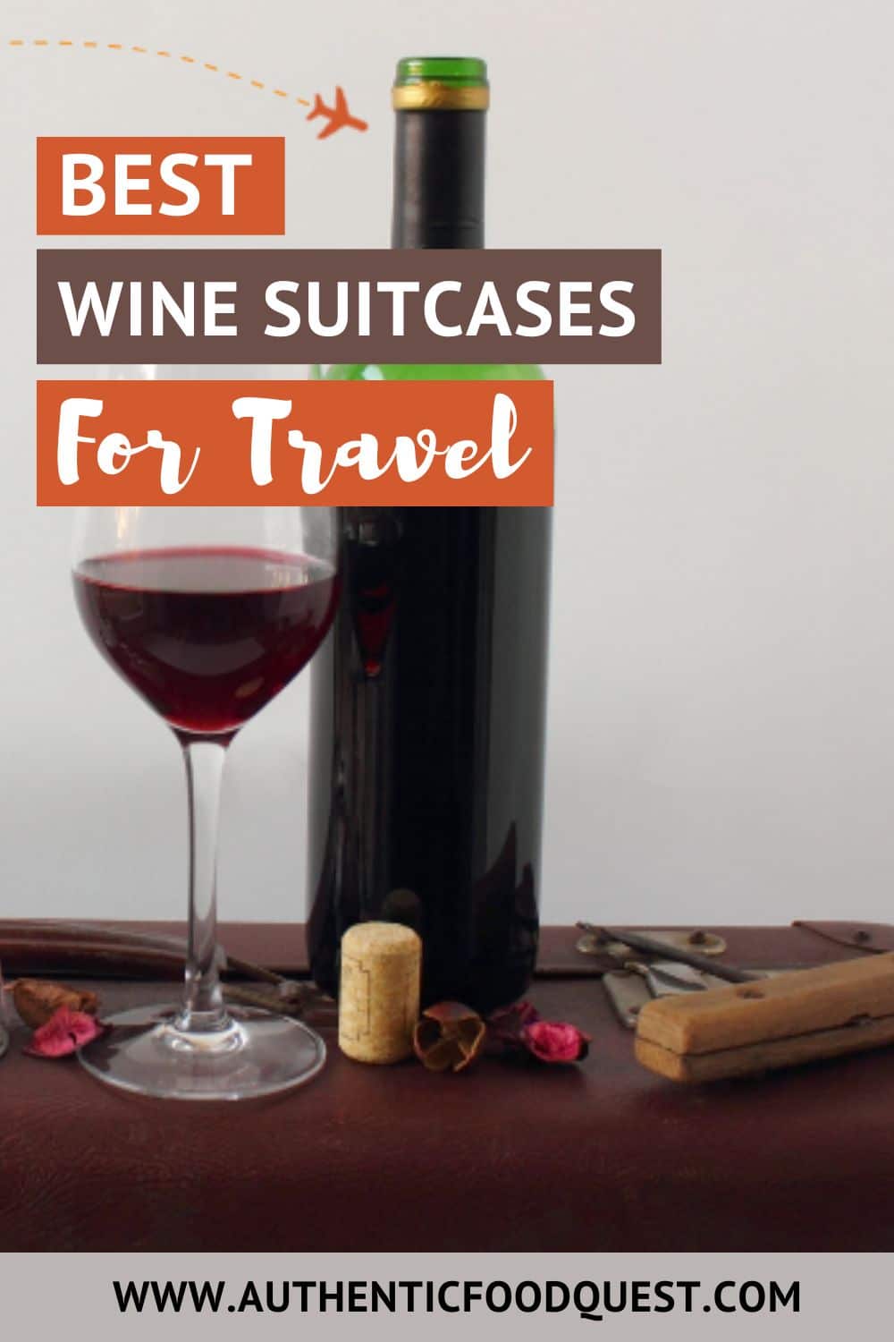 10 Best Wine Suitcases For 2024 To Safeguard Your Bottles
