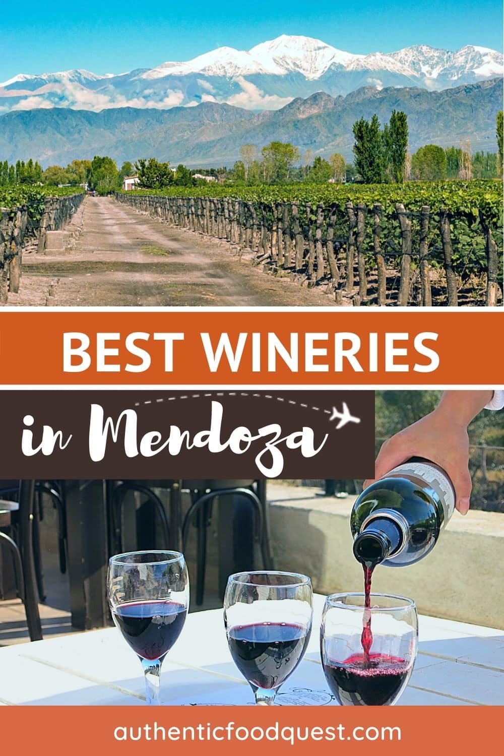 Guide To Mendoza Wine Regions 12 Of The Best Wineries To Visit   Pinterest WineriesMendoza AuthenticFoodQuest 