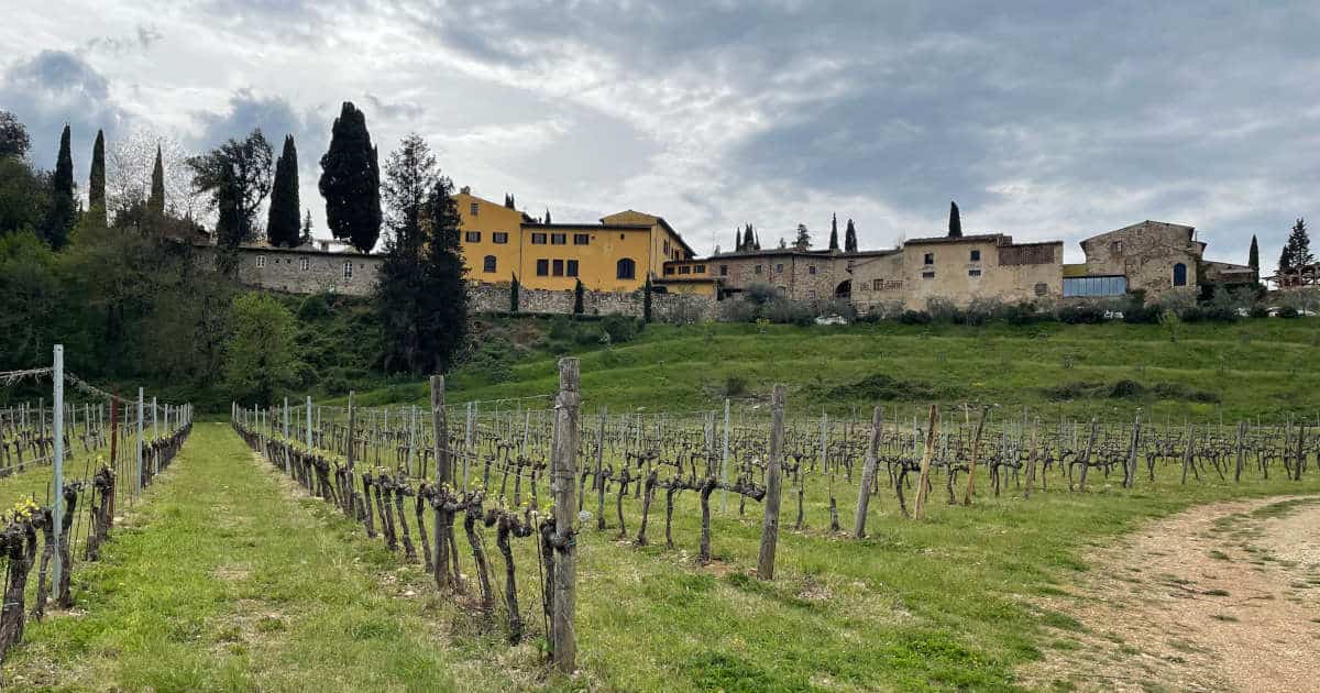 best wine tours from rome