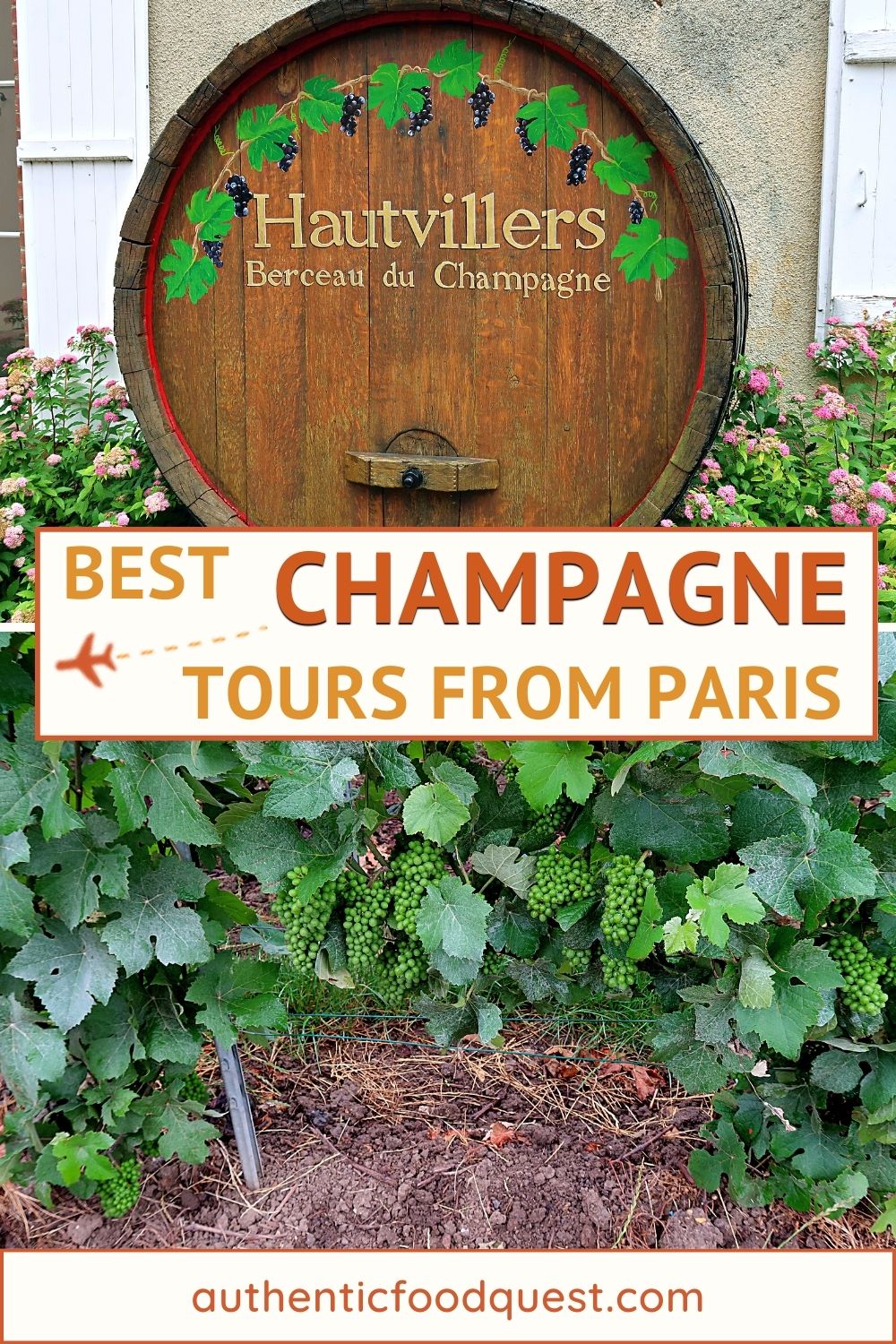 7 Best Champagne Tours From Paris In 2024 (by Locals)