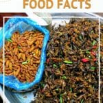Surprising Cambodian Food Facts by Authentic Food Quest